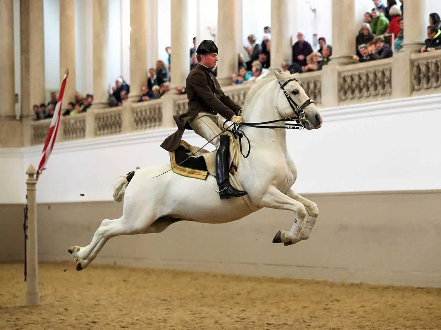 Vienna`s Famed Lipizzaner Stallions